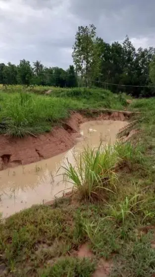 A water channel and pond on the plantation